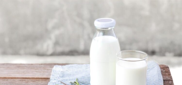 goat milk formula for infants