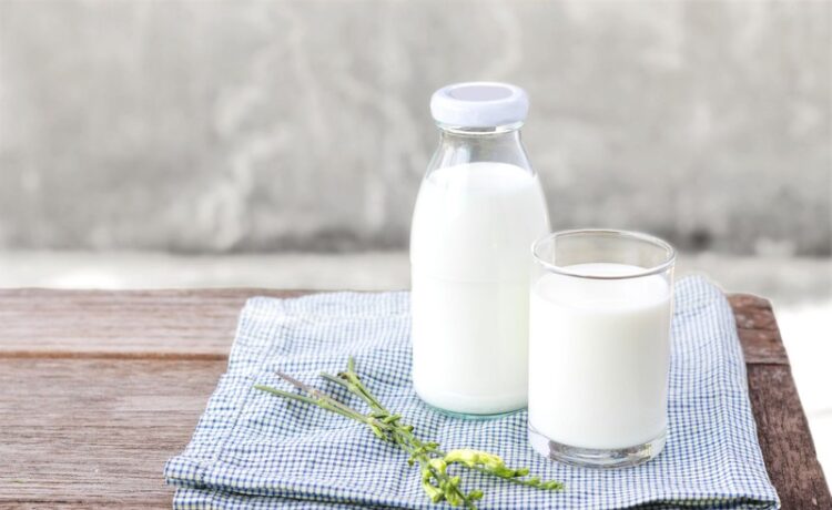 goat milk formula for infants