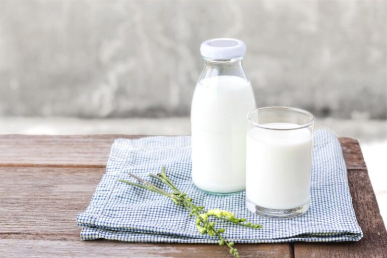 goat milk formula for infants