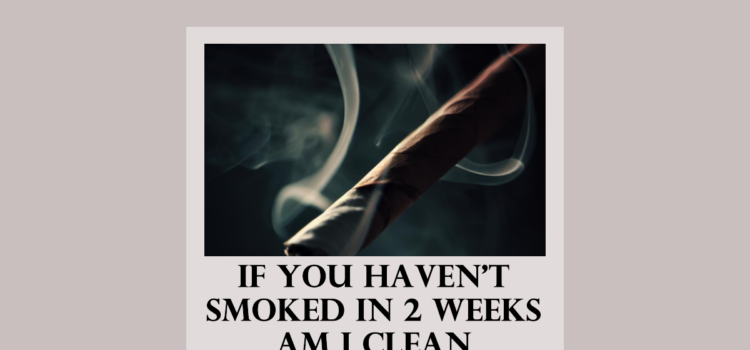 if you haven't smoked in 2 weeks am i clean