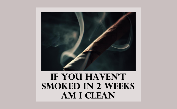 if you haven't smoked in 2 weeks am i clean
