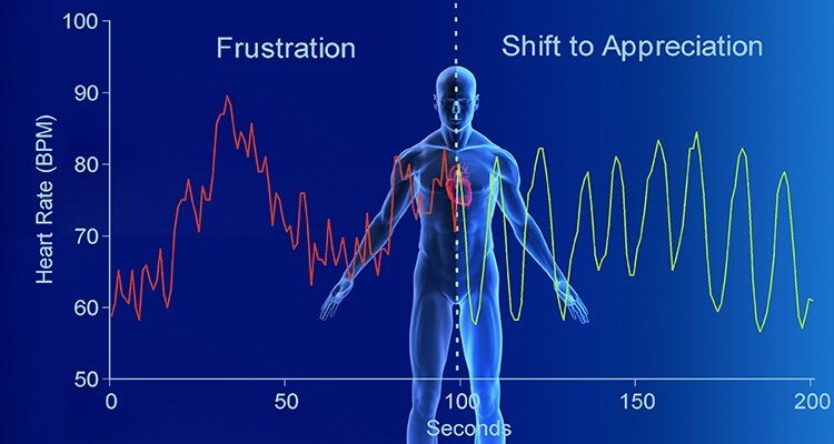 Heart Rate Variability: The Rise of A Wellness Marker