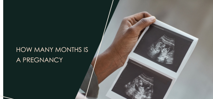 How Many Months is a Pregnancy