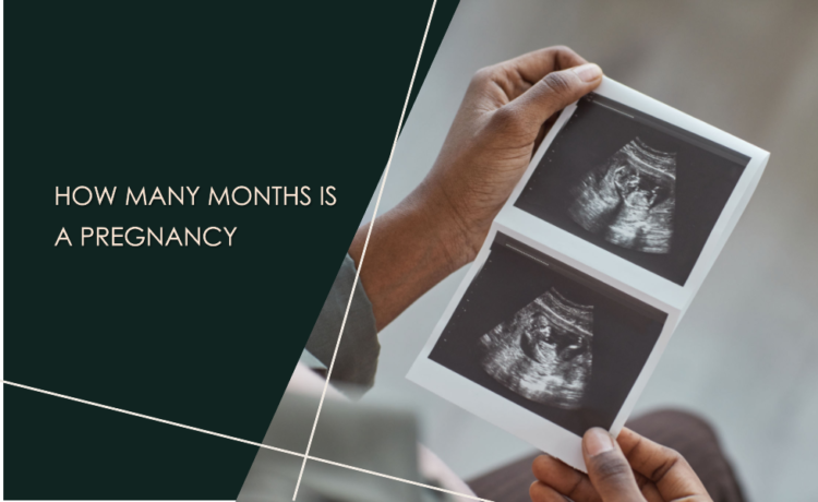 How Many Months is a Pregnancy
