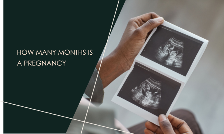 How Many Months is a Pregnancy