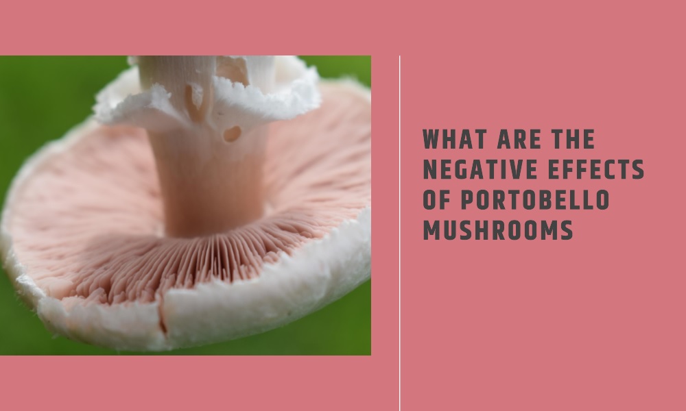 what are the negative effects of portobello mushrooms Healthy B Daily