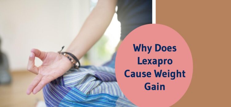 why does lexapro cause weight gain