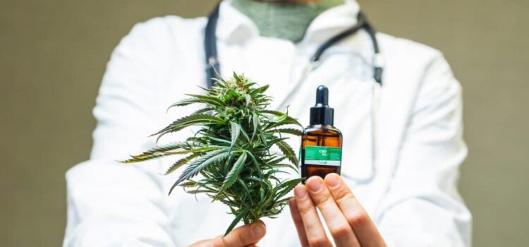 cbd oil canada buy