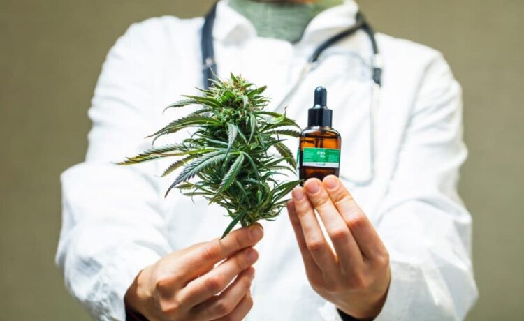 cbd oil canada buy