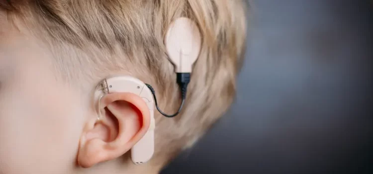 Hearing Aid