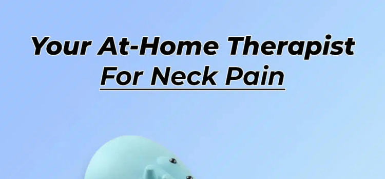 Hugterra Massager Reviews