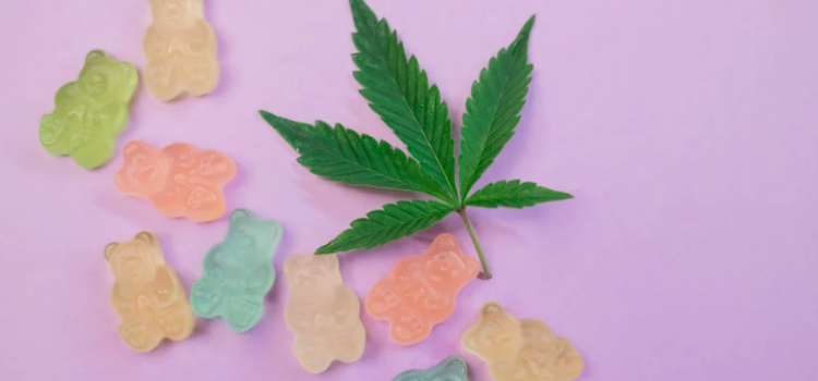 cbd gummies